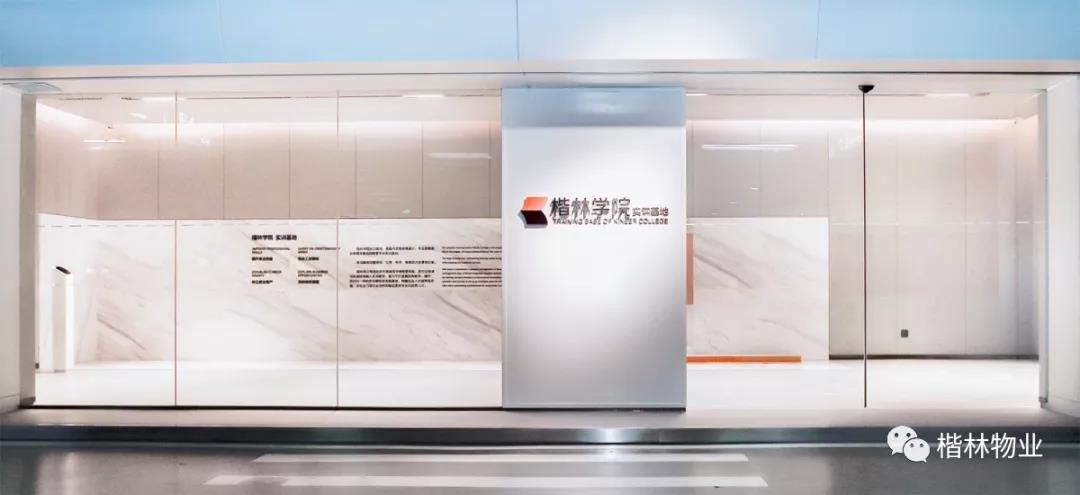 1578022541110527.jpg 1578022541110527.jpg